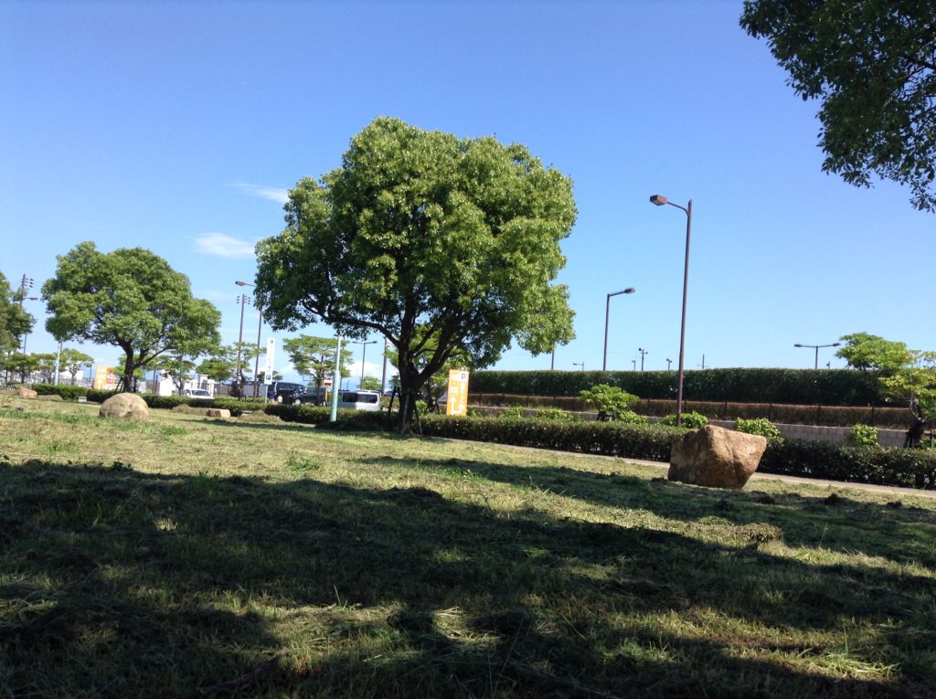 マリンピア入口前にある緑地